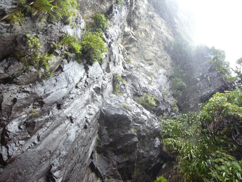 Travel - New Zealand - Milford Sounds